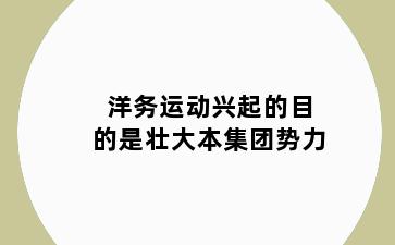 洋务运动兴起的目的是壮大本集团势力