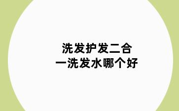 洗发护发二合一洗发水哪个好