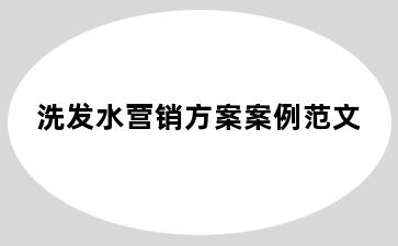 洗发水营销方案案例范文