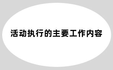 活动执行的主要工作内容