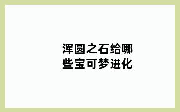 浑圆之石给哪些宝可梦进化