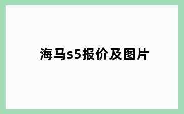 海马s5报价及图片