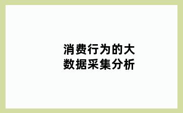 消费行为的大数据采集分析