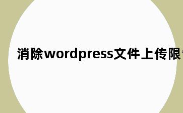 消除wordpress文件上传限制