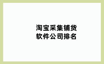 淘宝采集铺货软件公司排名