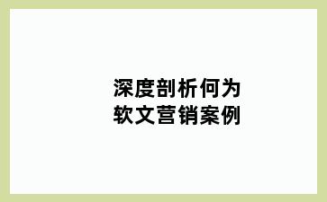 深度剖析何为软文营销案例