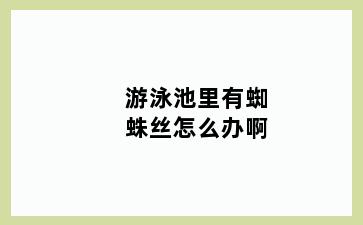 游泳池里有蜘蛛丝怎么办啊