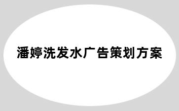 潘婷洗发水广告策划方案