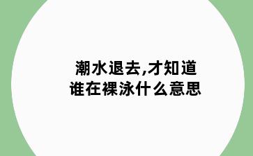 潮水退去,才知道谁在裸泳什么意思