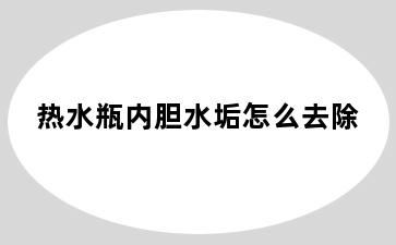 热水瓶内胆水垢怎么去除