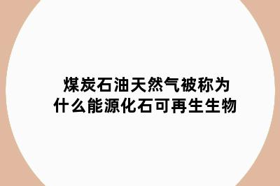 煤炭石油天然气被称为什么能源化石可再生生物