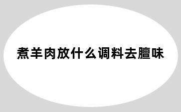 煮羊肉放什么调料去膻味