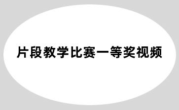 片段教学比赛一等奖视频