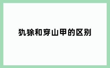 犰狳和穿山甲的区别