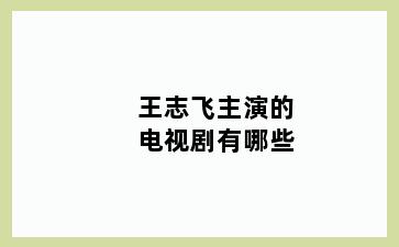 王志飞主演的电视剧有哪些