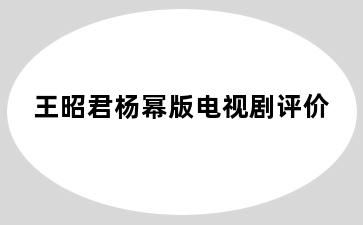 王昭君杨幂版电视剧评价