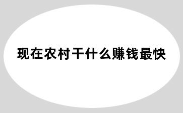 现在农村干什么赚钱最快