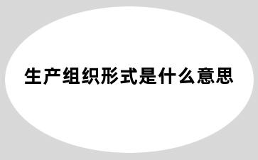 生产组织形式是什么意思