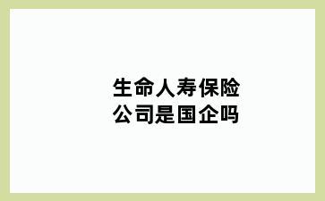 生命人寿保险公司是国企吗