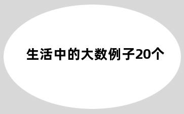 生活中的大数例子20个