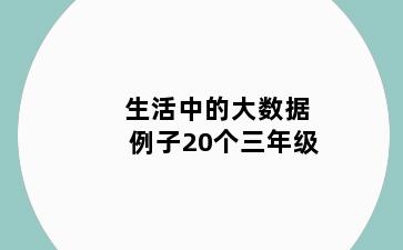 生活中的大数据例子20个三年级