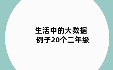 生活中的大数据例子20个二年级