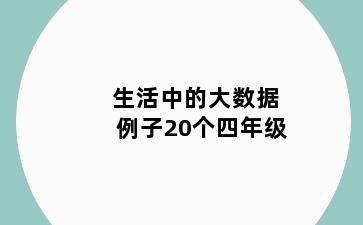 生活中的大数据例子20个四年级