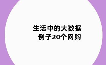 生活中的大数据例子20个网购