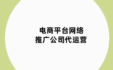 电商平台网络推广公司代运营