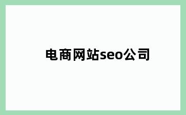 电商网站seo公司