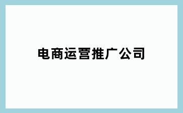 电商运营推广公司