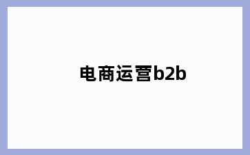 电商运营b2b