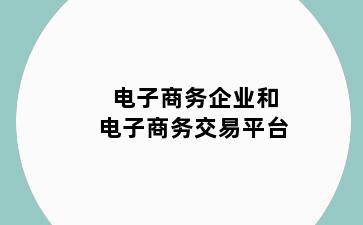 电子商务企业和电子商务交易平台