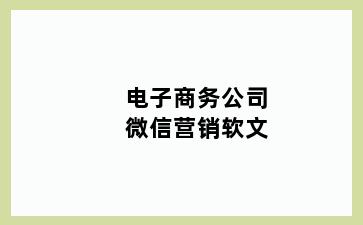 电子商务公司微信营销软文