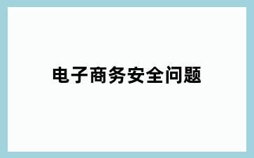 电子商务安全问题