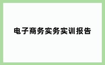 电子商务实务实训报告