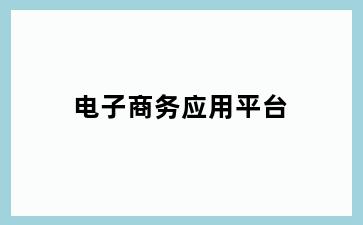 电子商务应用平台