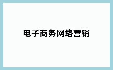 电子商务网络营销