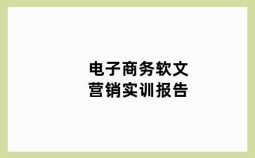 电子商务软文营销实训报告