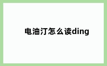 电油汀怎么读ding