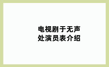 电视剧于无声处演员表介绍