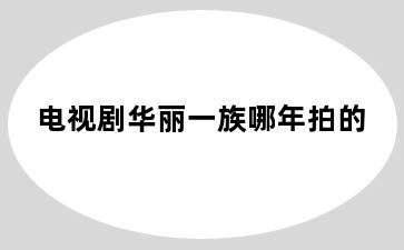 电视剧华丽一族哪年拍的