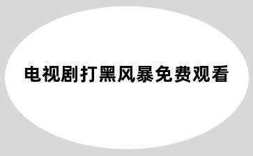 电视剧打黑风暴免费观看