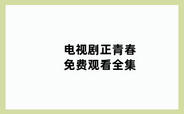 电视剧正青春免费观看全集