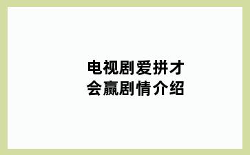 电视剧爱拼才会赢剧情介绍