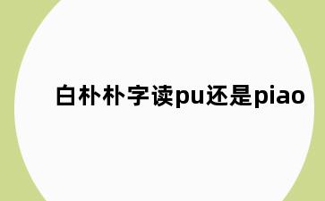 白朴朴字读pu还是piao