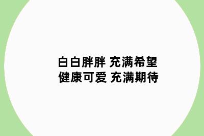 白白胖胖 充满希望 健康可爱 充满期待