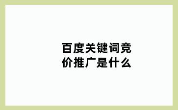 百度关键词竞价推广是什么