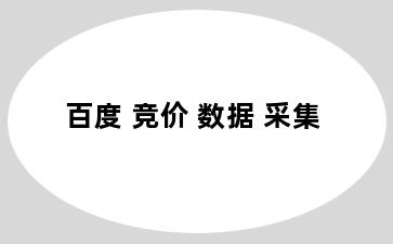 百度 竞价 数据 采集