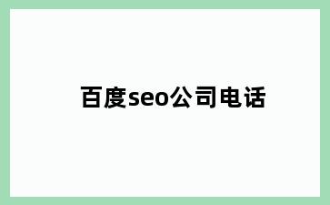 百度seo公司电话